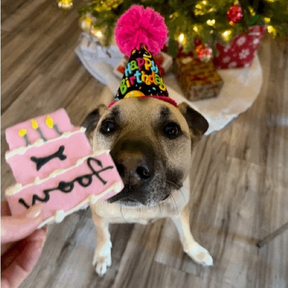 Bundle & Save! ❤️❤️ - Picture 6 of 7